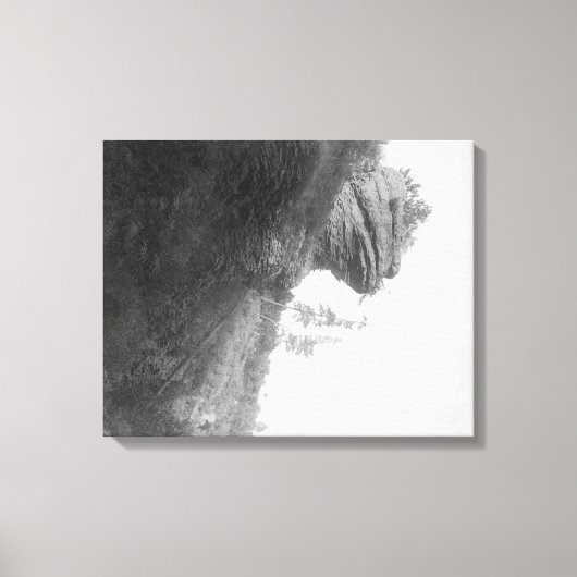 Kikkers op de foto van Deadwood Road Canvas Afdruk (Voorkant)