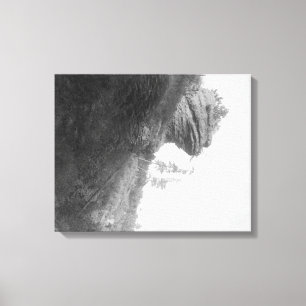 Kikkers op de foto van Deadwood Road Canvas Afdruk