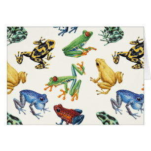 Kikkers op natuurlijk wit