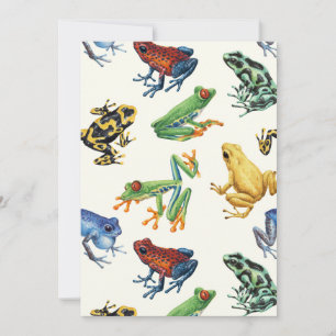 Kikkers op natuurlijk wit