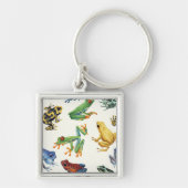 Kikkers op natuurlijk wit sleutelhanger (Voorkant)