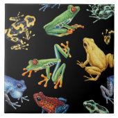 Kikkers op zwart tegeltje (Voorkant)