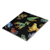 Kikkers op zwart tegeltje (Zijkant)