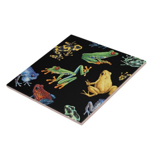 Kikkers op zwart tegeltje (Zijkant)