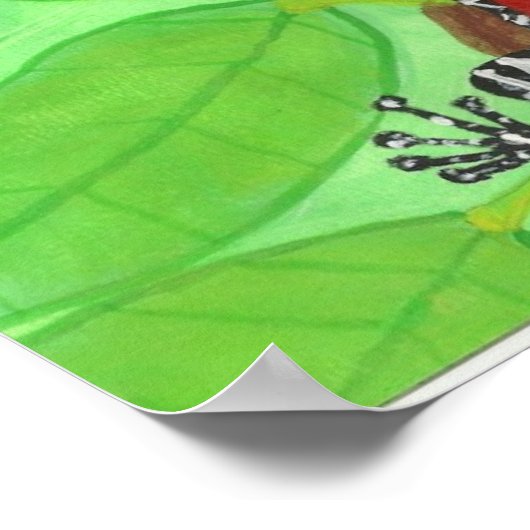 Kikkers Poster (Hoek)