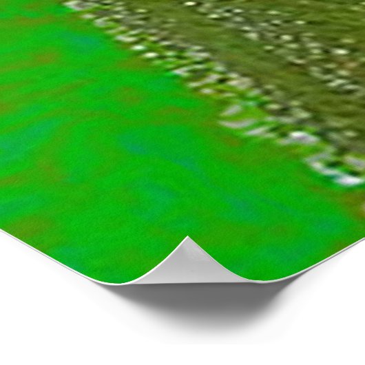 kikkers poster (Hoek)