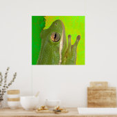 kikkers poster (Keuken)