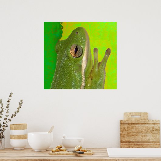 kikkers poster (Keuken)