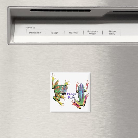 Kikkers Regel Magneten (Insitu (Vaatwasser))