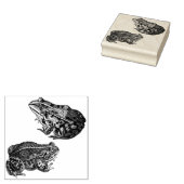 Kikkers Rubber Art Stempel (Gestempeld)