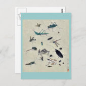 Kikkers, slakken en insecten briefkaart (Voorkant / Achterkant)