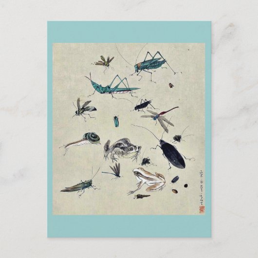 Kikkers, slakken en insecten briefkaart (Voorkant)