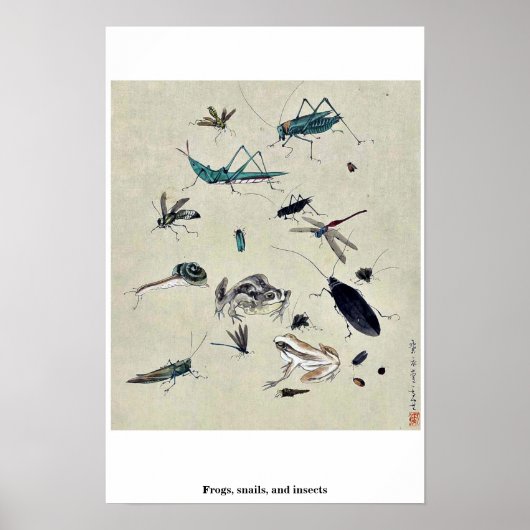 Kikkers, slakken en insecten poster (Voorkant)