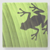 Kikkers Stenen Onderzetter (Voorkant)