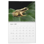 Kikkers van de World Calendar Kalender (Mar 2027)