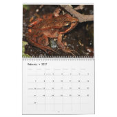Kikkers van de World Calendar Kalender (Feb 2027)