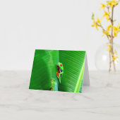 Kikkers van een rode-oogige boomkikker kaart (Gele Bloem)