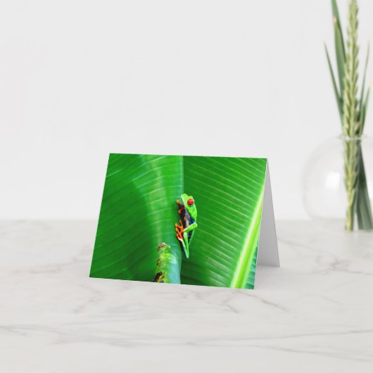 Kikkers van een rode-oogige boomkikker kaart (Voorkant)