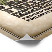 Kikkers voor Freedom Triple-hopped IPA Poster (Hoek)