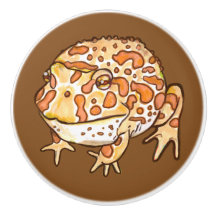  kikkers voor paarden