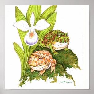 kikkers voor paarden poster