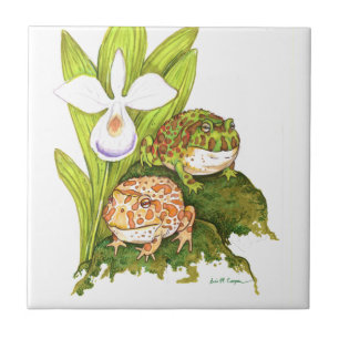 kikkers voor paarden tegeltje