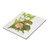  kikkers voor paarden tegeltje (Zijkant)