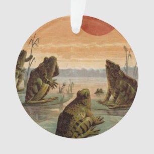 Kikkers Waterlelies Maan Illustratie Ornament