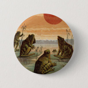 Kikkers waterlelies maan illustratie ronde button 5,7 cm