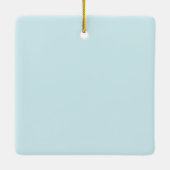 kikkerschuilplaats keramisch ornament (Achterkant)