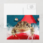 Kikkerst, Tinsel, veren, staarpatroon Feestdagenkaart (Voorkant / Achterkant)