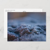 Kikkersteen in het Briefkaart van de avond CC0298 (Voorkant / Achterkant)