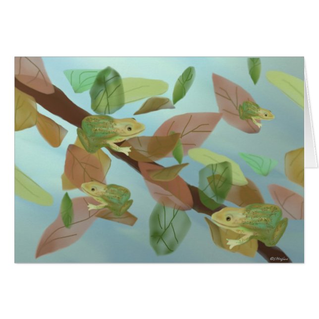 Kikkertjes voor kikkers (Voorkant Horizontaal)