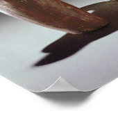 Kikkervat van een kikker die een cacaoboom klimt poster (Hoek)