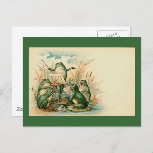 "Kikkervis" Briefkaart (Voorkant / Achterkant)