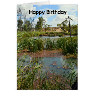 Kikkervis Paradijs Riverland Australië, Verjaardag