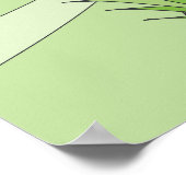 kikkervis poster (Hoek)