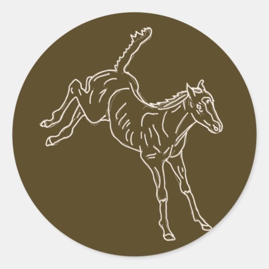 Kikkervis - transparante lijn. ronde sticker (Voorkant)