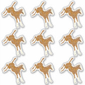 Kikkervis - transparante meerkleurige 9x sticker (Voorkant)