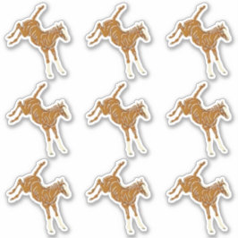 Kikkervis - transparante meerkleurige 9x sticker