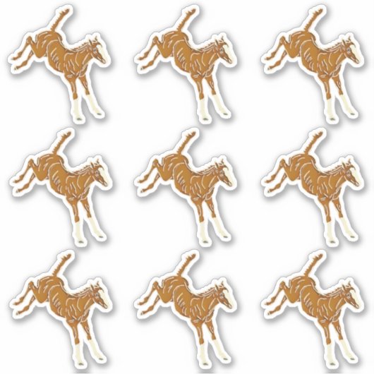 Kikkervis - transparante meerkleurige 9x sticker (Voorkant)