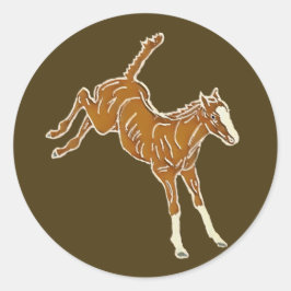 Kikkervis - transparante meerkleurige kleur. ronde sticker