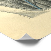  kikkervisanatomie van arm en schouder poster (Hoek)