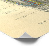 kikkervisanatomie van knie en been poster (Hoek)