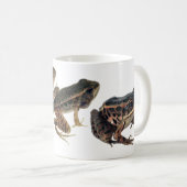 Kikkervisje naar Kikker: Drie ontwikkelingsfasen. Koffiemok (Voorkant rechts)