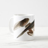 Kikkervisje naar Kikker: Drie ontwikkelingsfasen. Koffiemok (Voorkant links)