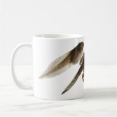 Kikkervisje naar Kikker: Drie ontwikkelingsfasen. Koffiemok (Links)