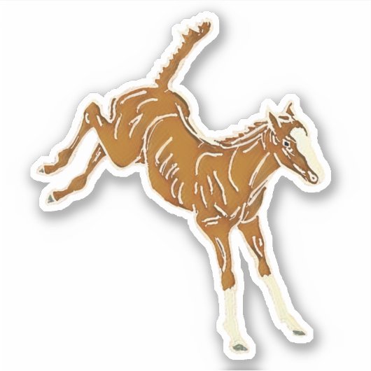 Kikkervisje voor paardschoen - transp aangepast vo sticker (Voorkant)