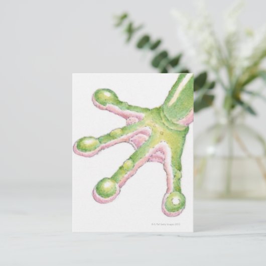 Kikkervisjes Briefkaart (Staand voorkant)