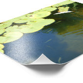 Kikkervisjes Foto Afdruk (Hoek)